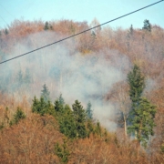 Alarmstufe 3 - Waldbrand in Elsbethen