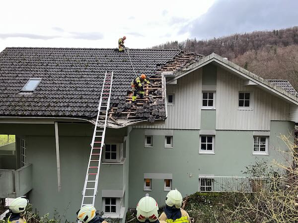 Baum umgestürzt - Lohhäuslweg