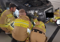 Tierrettung Kasernenstraße