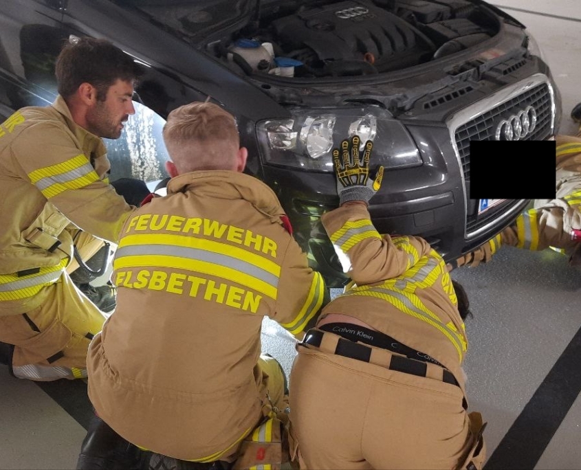 Tierrettung Kasernenstraße