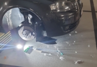 Tierrettung Kasernenstraße